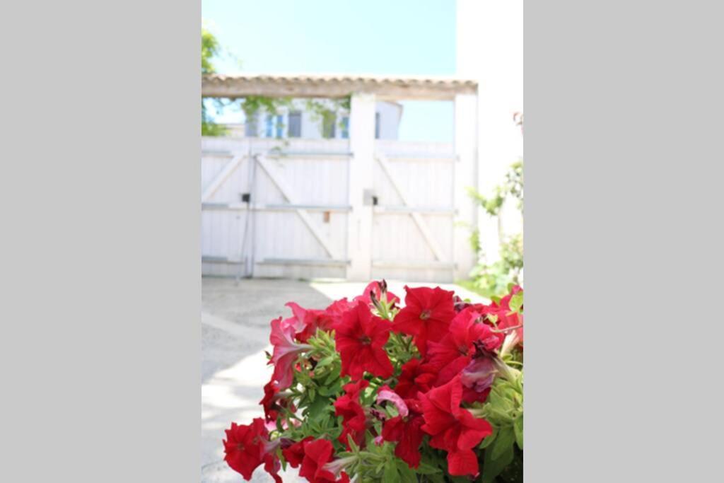 La Virginie - Suite Ile'Ô La Couarde-sur-Mer Extérieur photo